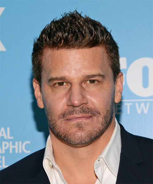 Cabelo castanho escuro e penteado alternativo de David Boreanaz  em 2024