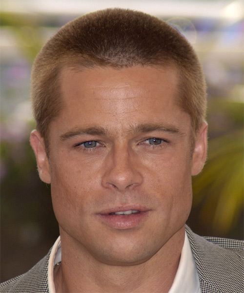 Brad Pitt Short Straight Hairstyle - Medium Blonde