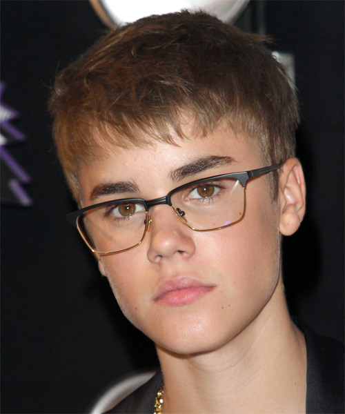 Justin Bieber Short Straight Hairstyle - Light Brunette (Ash)