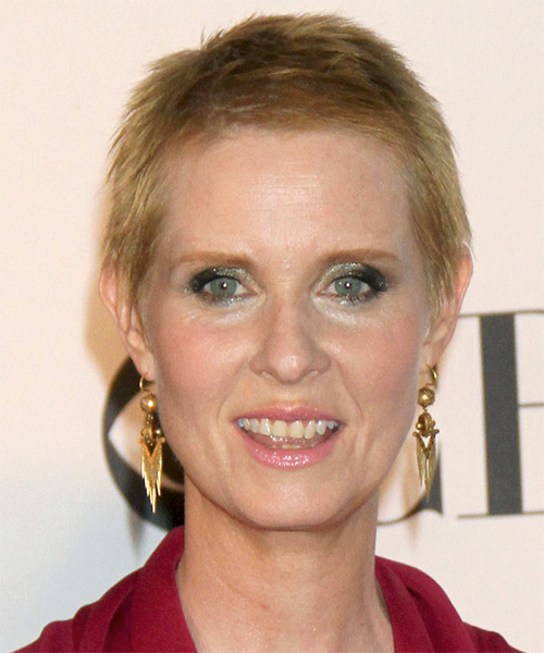 cynthia nixon hair wig