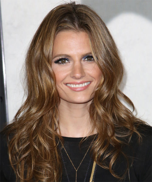 Stana Katic Long Wavy Formal Hairstyle - Caramel Brunette Hair Color