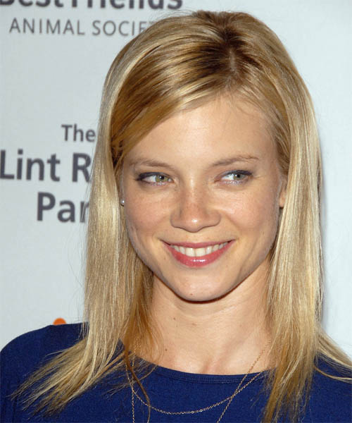 Amy Smart Hairstyle