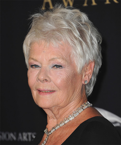 Judi Dench Short Straight Hairstyle - Light Grey - side view 1