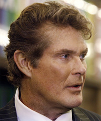 David Hasselhoff Hairstyle - click to view hairstyle information