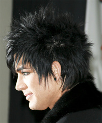 Adam Lambert Hairstyle - click to view hairstyle information