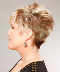 Formal Short Straight Hairstyle - click to view hairstyle information