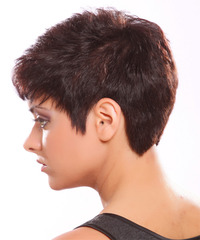 Casual Short Straight Hairstyle - click to view hairstyle information