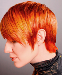 Alternative Short Straight Hairstyle - click to view hairstyle information