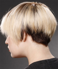 Casual Short Straight Hairstyle - click to view hairstyle information