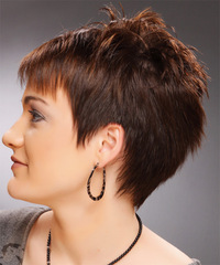 Casual Short Straight Hairstyle - click to view hairstyle information