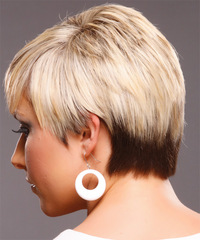 Formal Short Straight Hairstyle - click to view hairstyle information