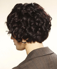 Formal Short Curly Hairstyle - click to view hairstyle information