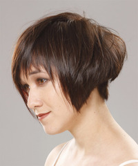 Casual Short Straight Hairstyle - click to view hairstyle information
