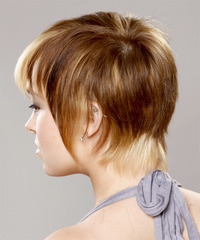 Casual Short Straight Hairstyle - click to view hairstyle information
