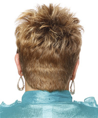 Casual Short Straight Hairstyle - click to view hairstyle information