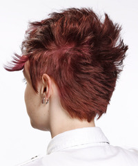 Alternative Short Straight Hairstyle - click to view hairstyle information