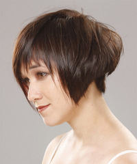 Casual Short Straight Hairstyle - click to view hairstyle information