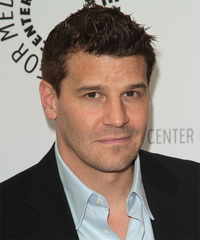 David Boreanaz Hairstyle - click to view hairstyle information