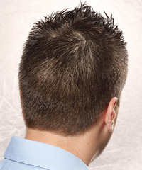 Casual Short Straight Hairstyle - click to view hairstyle information