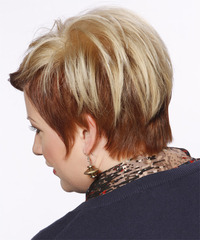 Formal Short Straight Hairstyle - click to view hairstyle information