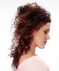 Formal Updo Long Curly Hairstyle - click to view hairstyle information