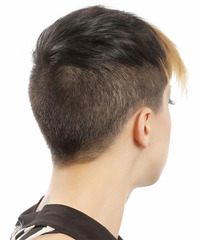 Alternative Short Straight Hairstyle - click to view hairstyle information