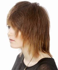 Casual Medium Straight Hairstyle - click to view hairstyle information