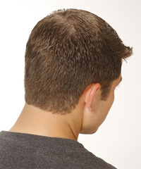 Casual Short Straight Hairstyle - click to view hairstyle information
