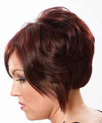 Casual Short Straight Hairstyle - click to view hairstyle information