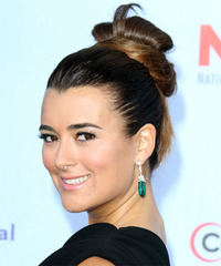 Cote de Pablo Hairstyle - click to view hairstyle information