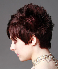 Casual Short Straight Hairstyle - click to view hairstyle information