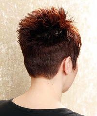 Formal Short Straight Hairstyle - click to view hairstyle information