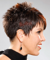 Hair Style  on Short Straight Alternative Hairstyle   Haircut   9251   Thehairstyler