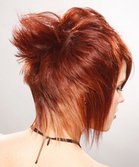 Alternative Short Straight Hairstyle - click to view hairstyle information