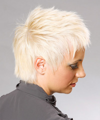 Alternative Short Straight Hairstyle - click to view hairstyle information