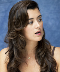Cote de Pablo Hairstyle - click to view hairstyle information