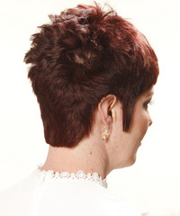 Casual Short Straight Hairstyle - click to view hairstyle information