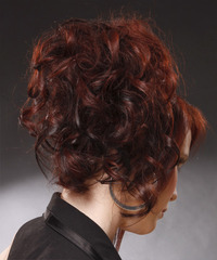 Formal Updo Long Curly Hairstyle - click to view hairstyle information