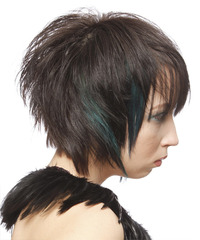 Alternative Short Straight Hairstyle - click to view hairstyle information