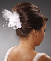 Formal Updo Long Straight Hairstyle - click to view hairstyle information