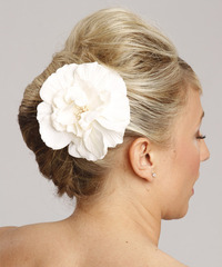 Formal Updo Long Straight Hairstyle - click to view hairstyle information