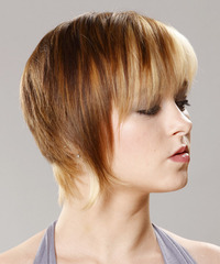 Casual Short Straight Hairstyle - click to view hairstyle information