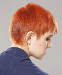 Casual Short Straight Hairstyle - click to view hairstyle information