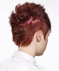 Alternative Short Straight Hairstyle - click to view hairstyle information