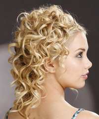 Formal Updo Long Curly Hairstyle - click to view hairstyle information