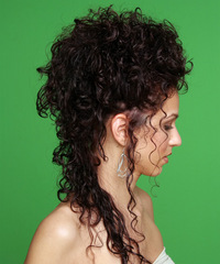 Formal Updo Long Curly Hairstyle - click to view hairstyle information