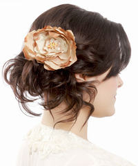 Formal Updo Long Straight Hairstyle - click to view hairstyle information