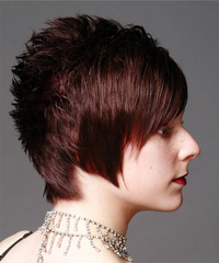 Casual Short Straight Hairstyle - click to view hairstyle information
