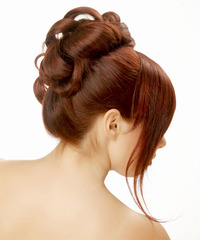 Formal Updo Long Straight Hairstyle - click to view hairstyle information