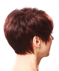 Casual Short Straight Hairstyle - click to view hairstyle information
